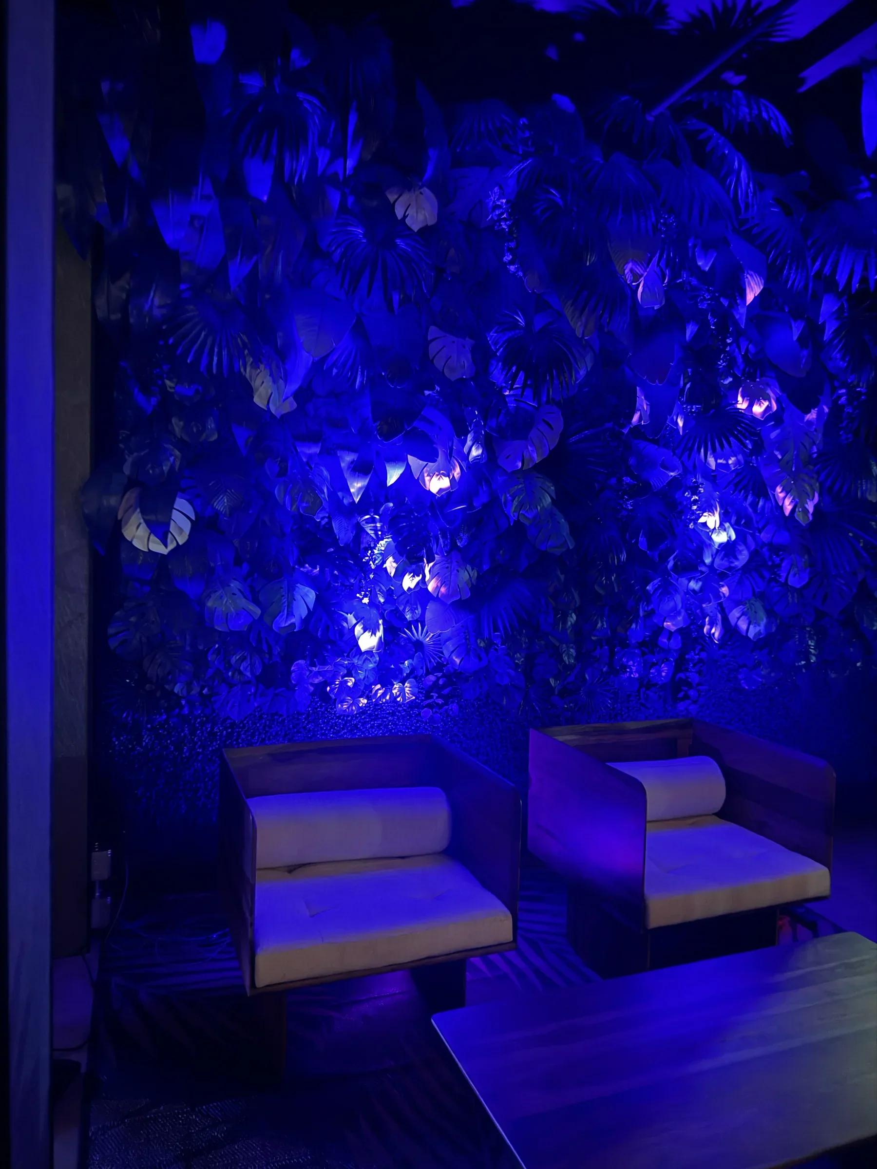 The ground-floor patio at Styx + Stone with lounge seating against a blue-lit floral wall