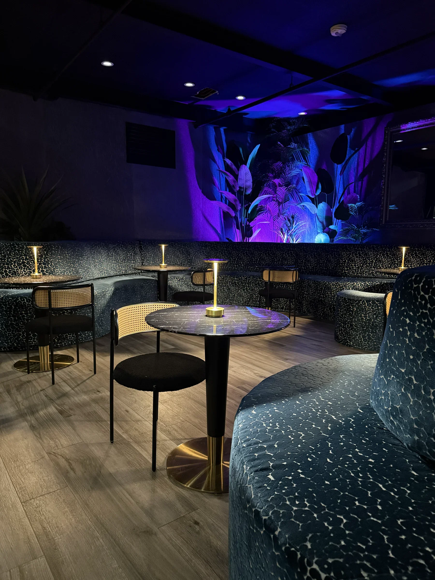 Leopard-print banquettes and mural in the ground-floor bar at Styx + Stone