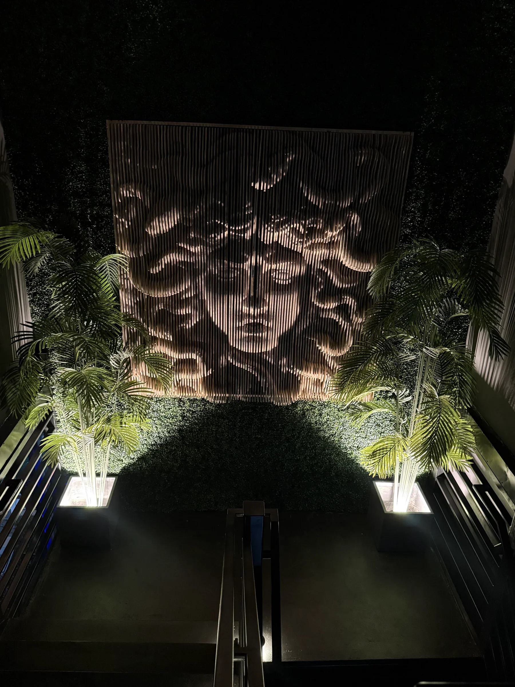 Medusa light installation over the greenery wall at Styx + Stone